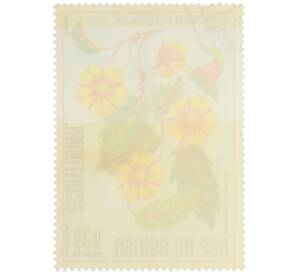 Почтовая марка 0.8 песеты 1976 года Экваториальная Гвинея «Охрана природы — Гиббертия зубчатая» — Фото №2