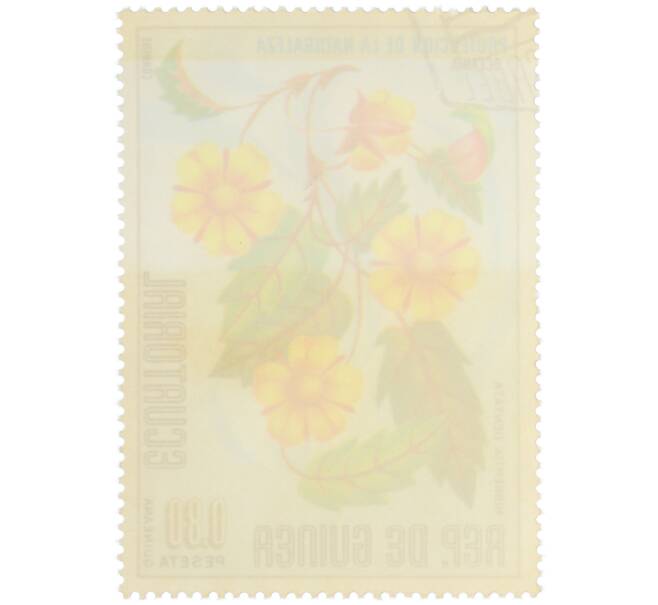 Почтовая марка 0.8 песеты 1976 года Экваториальная Гвинея «Охрана природы — Гиббертия зубчатая» (Артикул: K12-79042) — Фото №2