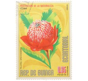 Почтовая марка 0.85 песеты 1976 года Экваториальная Гвинея «Охрана природы — Телопея прекрасная» — Фото №1