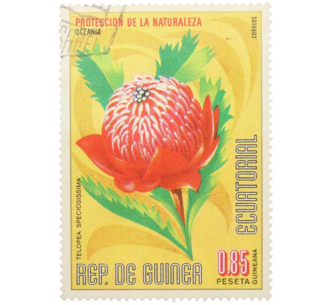 Почтовая марка 0.85 песеты 1976 года Экваториальная Гвинея «Охрана природы — Телопея прекрасная» (Артикул: K12-79043) — Фото №1