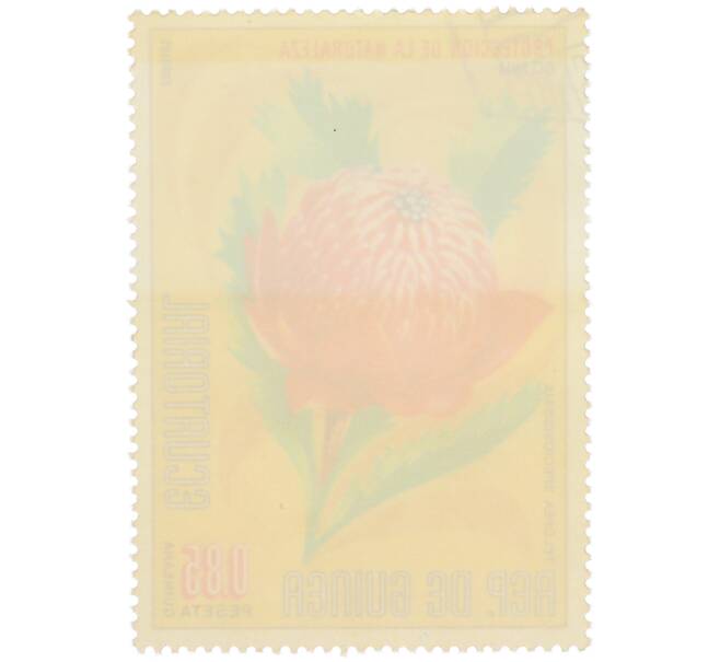 Почтовая марка 0.85 песеты 1976 года Экваториальная Гвинея «Охрана природы — Телопея прекрасная» (Артикул: K12-79043) — Фото №2