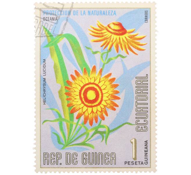 Почтовая марка 1 песета 1976 года Экваториальная Гвинея «Охрана природы — Гелихризум светлый» (Артикул: K12-79044) — Фото №1