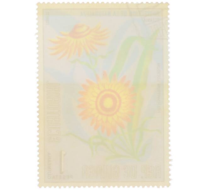 Почтовая марка 1 песета 1976 года Экваториальная Гвинея «Охрана природы — Гелихризум светлый» (Артикул: K12-79044) — Фото №2