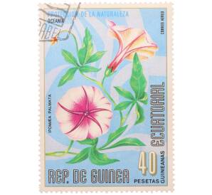 Почтовая марка 40 песет 1976 года Экваториальная Гвинея «Охрана природы — Ипомея пальчатая» — Фото №1