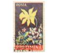 Почтовая марка 55 бани 1956 года Румыния «Подснежник» (Смещение цвета) (Артикул: K12-79052) — Фото №1