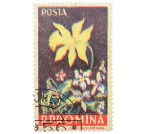 Почтовая марка 55 бани 1956 года Румыния «Подснежник» (Смещение цвета) — Фото №1