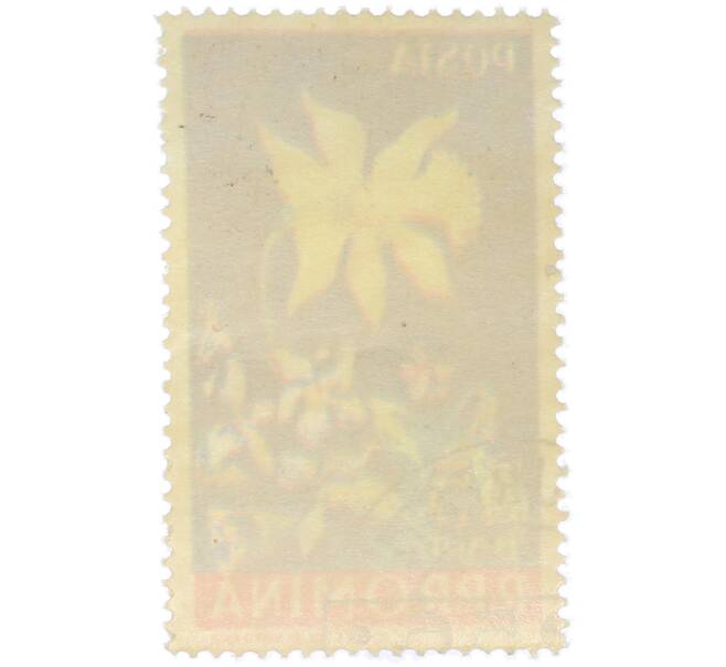 Почтовая марка 55 бани 1956 года Румыния «Подснежник» (Смещение цвета) (Артикул: K12-79052) — Фото №2