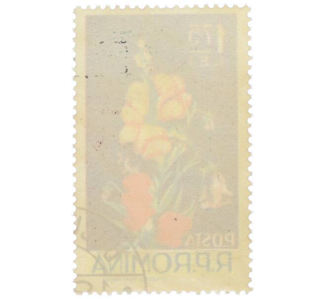 Почтовая марка 1.75 лея 1956 года Румыния «Львиный зев» (Артикул: K12-79053) — Фото №2