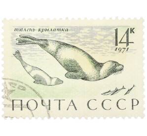 Почтовая марка 14 копеек 1971 года «Морские млекопитающие — Тюлень-крылатка» — Фото №1
