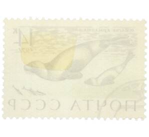 Почтовая марка 14 копеек 1971 года «Морские млекопитающие — Тюлень-крылатка» — Фото №2