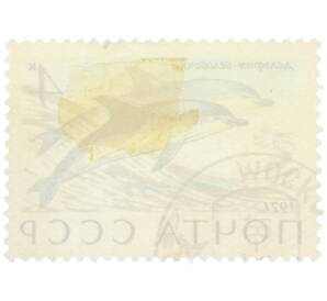 Почтовая марка 4 копейки 1971 года «Морские млекопитающие — Дельфин-белобочка» — Фото №2