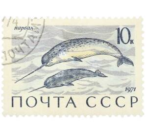 Почтовая марка 10 копеек 1971 года «Морские млекопитающие — Нарвал» — Фото №1