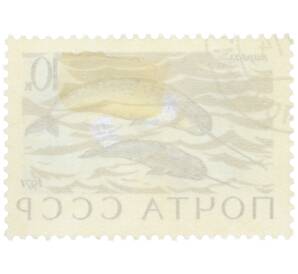 Почтовая марка 10 копеек 1971 года «Морские млекопитающие — Нарвал» — Фото №2