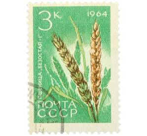 Почтовая марка 3 копейки 1964 года «Пшеница Безостая-1» — Фото №1