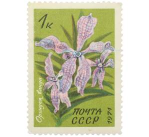 Почтовая марка 1 копейка 1971 года «Орхидея ванда» — Фото №1