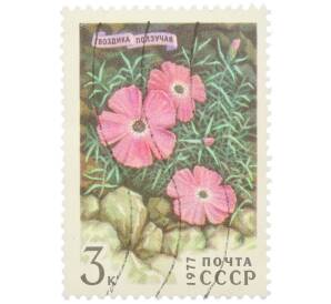 Почтовая марка 3 копейки 1971 года «Гвоздика ползучая» — Фото №1