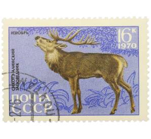 Почтовая марка 16 копеек 1970 года «35-летие Сихотэ-Алинского государственного заповедника — Изюбрь» — Фото №1