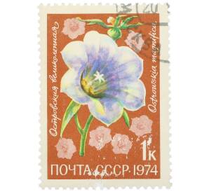 Почтовая марка 1 копейка 1974 года «Цветы альпийских лугов Средней Азии — Островския великолепная» — Фото №1