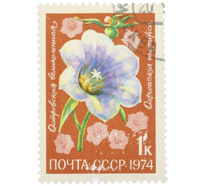 Почтовая марка 1 копейка 1974 года «Цветы альпийских лугов Средней Азии — Островския великолепная» (Артикул: K12-79095) — Фото №1