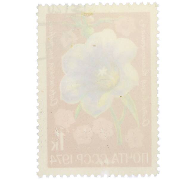 Почтовая марка 1 копейка 1974 года «Цветы альпийских лугов Средней Азии — Островския великолепная» (Артикул: K12-79095) — Фото №2