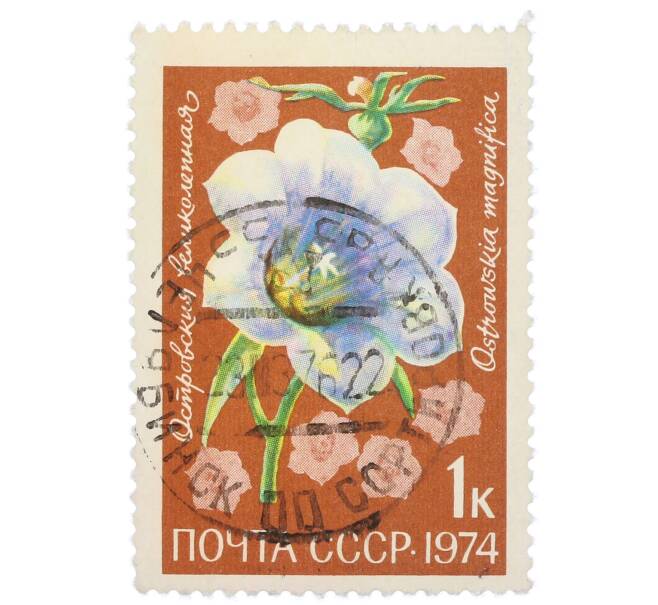Почтовая марка 1 копейка 1974 года «Цветы альпийских лугов Средней Азии — Островския великолепная» (Артикул: K12-79096) — Фото №1