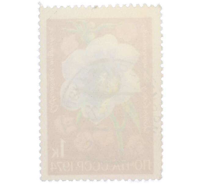 Почтовая марка 1 копейка 1974 года «Цветы альпийских лугов Средней Азии — Островския великолепная» (Артикул: K12-79096) — Фото №2