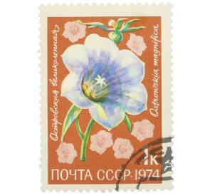 Почтовая марка 1 копейка 1974 года «Цветы альпийских лугов Средней Азии — Островския великолепная» — Фото №1