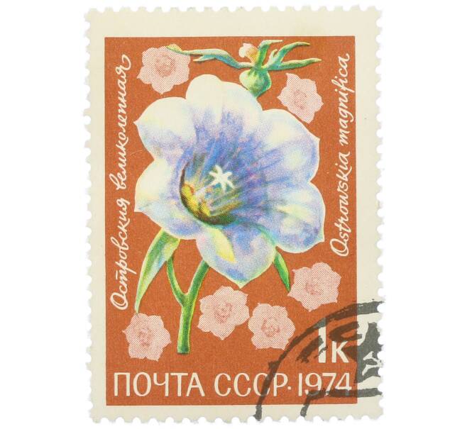 Почтовая марка 1 копейка 1974 года «Цветы альпийских лугов Средней Азии — Островския великолепная» (Артикул: K12-79097) — Фото №1