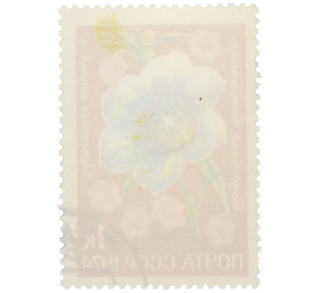 Почтовая марка 1 копейка 1974 года «Цветы альпийских лугов Средней Азии — Островския великолепная» (Артикул: K12-79097) — Фото №2