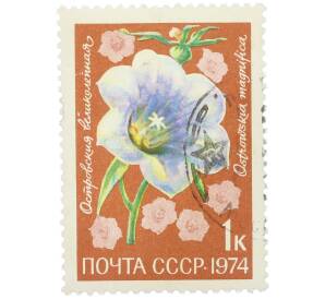 Почтовая марка 1 копейка 1974 года «Цветы альпийских лугов Средней Азии — Островския великолепная» — Фото №1