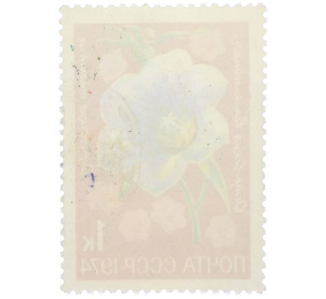 Почтовая марка 1 копейка 1974 года «Цветы альпийских лугов Средней Азии — Островския великолепная» (Артикул: K12-79098) — Фото №2