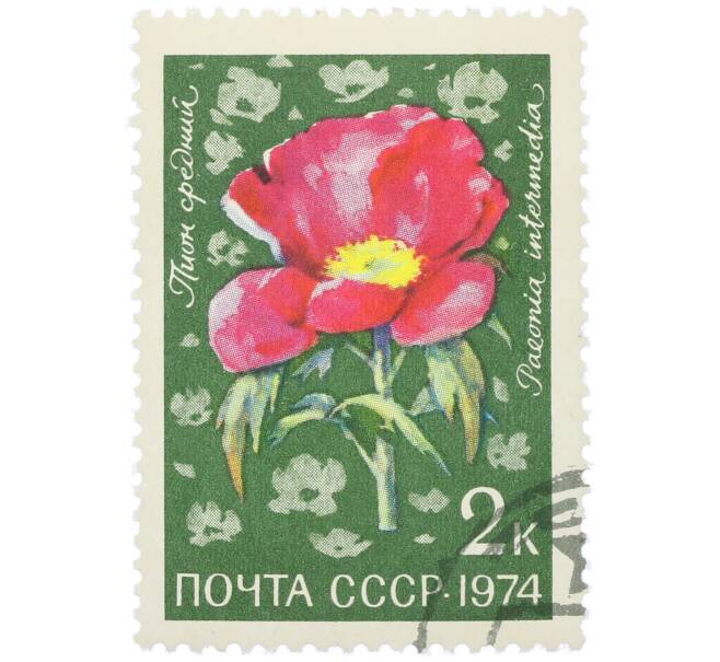 Почтовая марка 2 копейки 1974 года «Цветы альпийских лугов Средней Азии — Пион средний» (Артикул: K12-79099) — Фото №1