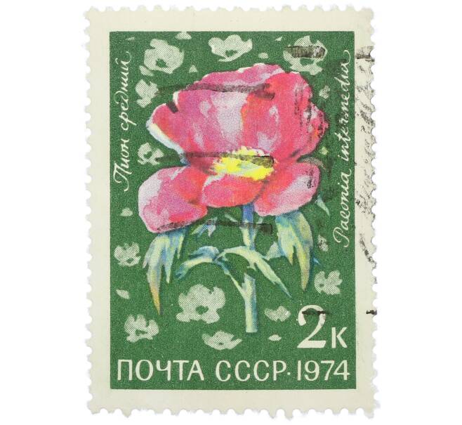 Почтовая марка 2 копейки 1974 года «Цветы альпийских лугов Средней Азии — Пион средний» (Артикул: K12-79100) — Фото №1