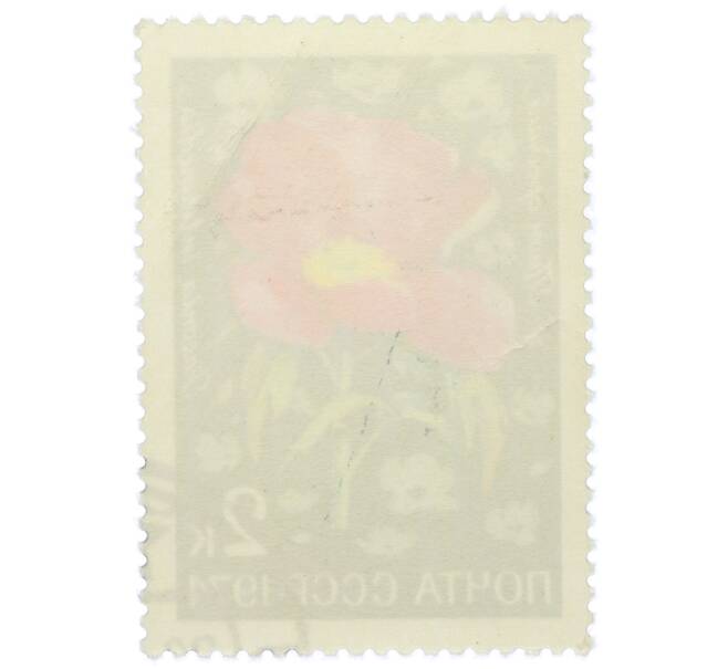 Почтовая марка 2 копейки 1974 года «Цветы альпийских лугов Средней Азии — Пион средний» (Артикул: K12-79101) — Фото №2