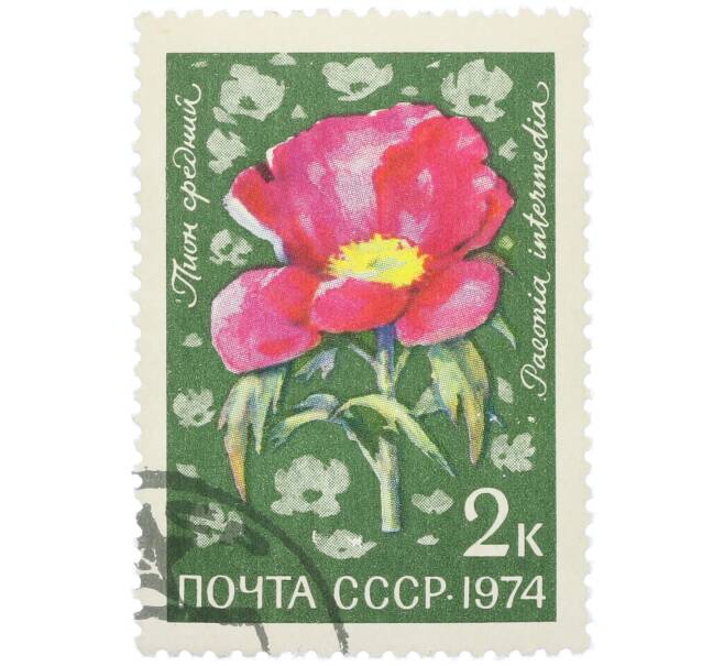 Почтовая марка 2 копейки 1974 года «Цветы альпийских лугов Средней Азии — Пион средний» (Артикул: K12-79102) — Фото №1