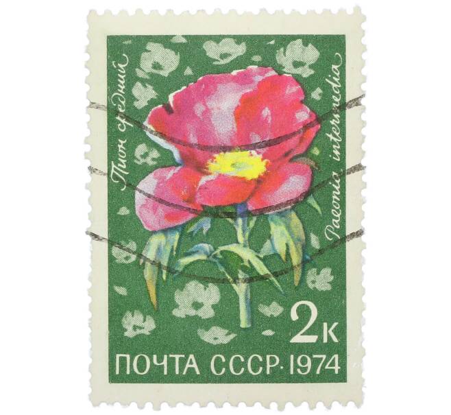 Почтовая марка 2 копейки 1974 года «Цветы альпийских лугов Средней Азии — Пион средний» (Артикул: K12-79103) — Фото №1
