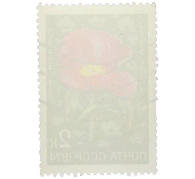 Почтовая марка 2 копейки 1974 года «Цветы альпийских лугов Средней Азии — Пион средний» (Артикул: K12-79103) — Фото №2