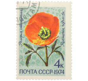 Почтовая марка 4 копейки 1974 года «Цветы альпийских лугов Средней Азии — Ремерия отогнутая» — Фото №1