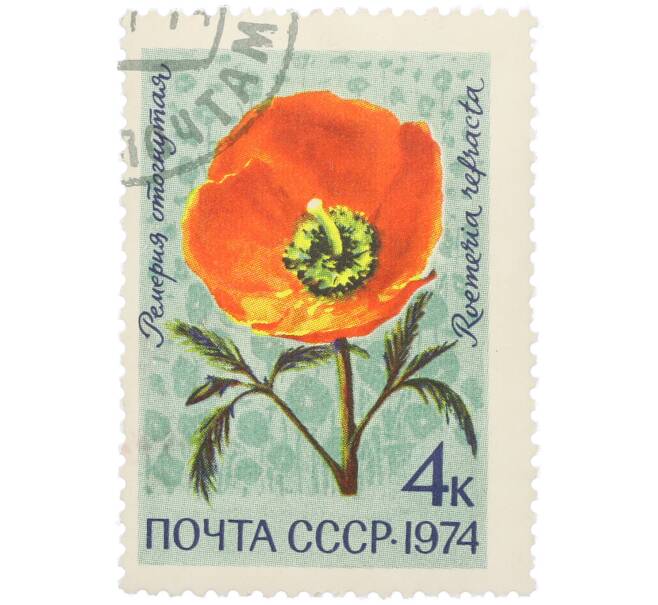 Почтовая марка 4 копейки 1974 года «Цветы альпийских лугов Средней Азии — Ремерия отогнутая» (Артикул: K12-79104) — Фото №1