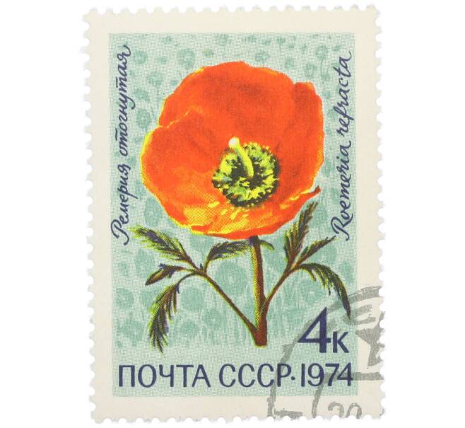 Почтовая марка 4 копейки 1974 года «Цветы альпийских лугов Средней Азии — Ремерия отогнутая» (Артикул: K12-79105) — Фото №1