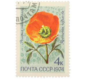 Почтовая марка 4 копейки 1974 года «Цветы альпийских лугов Средней Азии — Ремерия отогнутая» — Фото №1