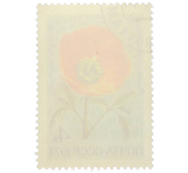 Почтовая марка 4 копейки 1974 года «Цветы альпийских лугов Средней Азии — Ремерия отогнутая» (Артикул: K12-79106) — Фото №2