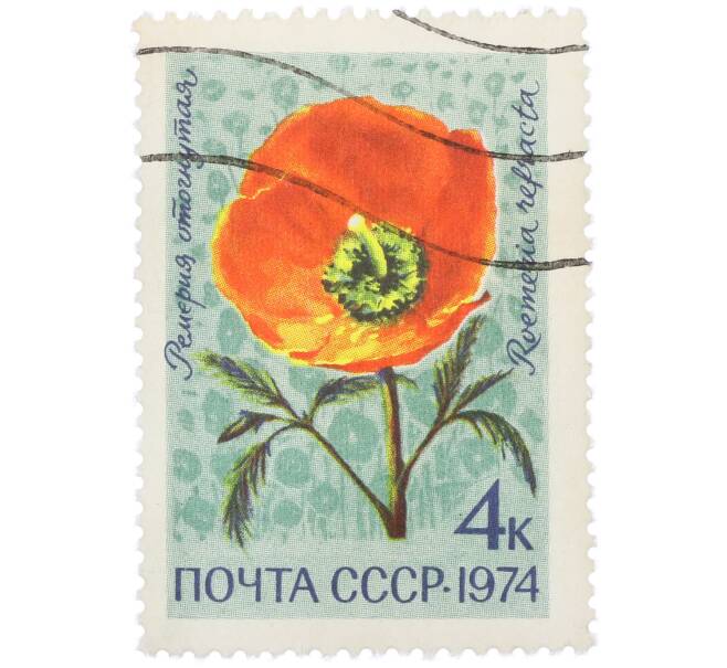 Почтовая марка 4 копейки 1974 года «Цветы альпийских лугов Средней Азии — Ремерия отогнутая» (Артикул: K12-79107) — Фото №1
