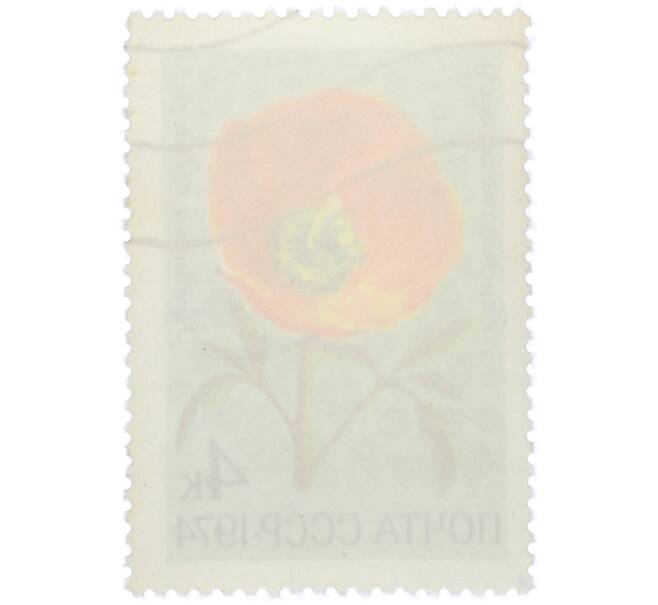 Почтовая марка 4 копейки 1974 года «Цветы альпийских лугов Средней Азии — Ремерия отогнутая» (Артикул: K12-79107) — Фото №2