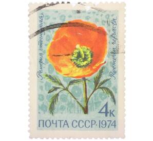 Почтовая марка 4 копейки 1974 года «Цветы альпийских лугов Средней Азии — Ремерия отогнутая» — Фото №1