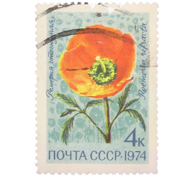Почтовая марка 4 копейки 1974 года «Цветы альпийских лугов Средней Азии — Ремерия отогнутая» (Артикул: K12-79108) — Фото №1