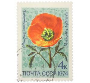 Почтовая марка 4 копейки 1974 года «Цветы альпийских лугов Средней Азии — Ремерия отогнутая» — Фото №1