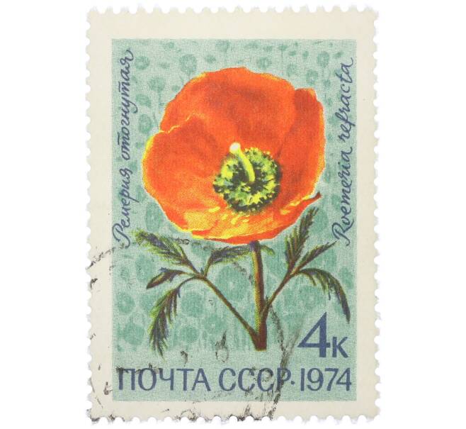 Почтовая марка 4 копейки 1974 года «Цветы альпийских лугов Средней Азии — Ремерия отогнутая» (Артикул: K12-79109) — Фото №1