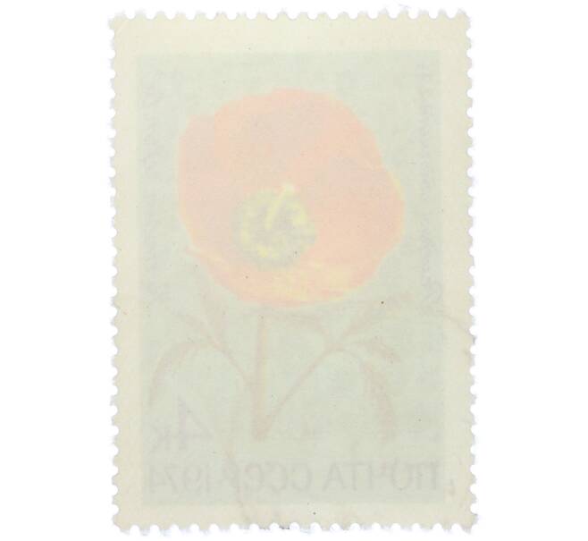 Почтовая марка 4 копейки 1974 года «Цветы альпийских лугов Средней Азии — Ремерия отогнутая» (Артикул: K12-79109) — Фото №2