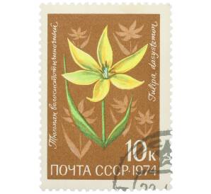 Почтовая марка 10 копеек 1974 года «Цветы альпийских лугов Средней Азии — Тюльпан волосистотычиночный» — Фото №1